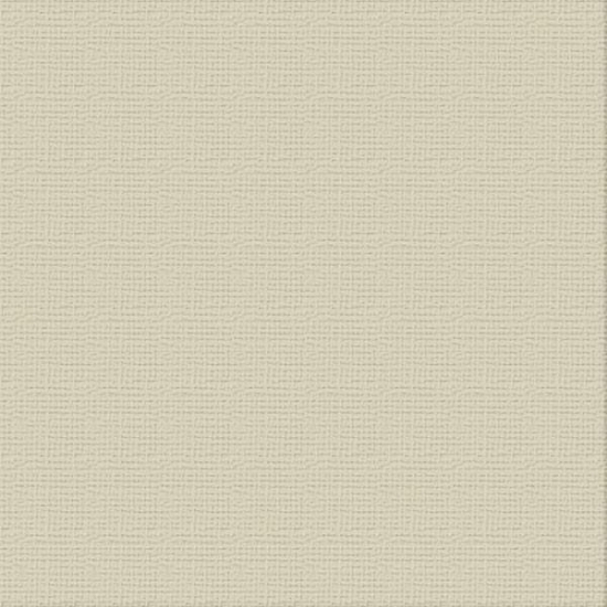 Picture of CARDSTOCK 12X12 DELICATE MEDLAR