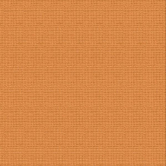 Picture of CARDSTOCK 12X12 BURNT SIENNA