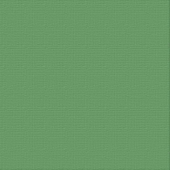 Picture of CARDSTOCK 12X12 SHAMROCK 216GSM