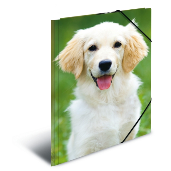 Picture of ELASTICATED FOLDER A3 PP DOGS