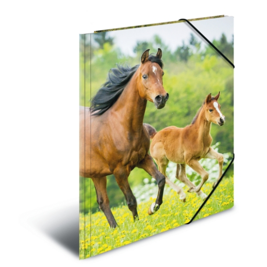 Picture of ELASTICATED FOLDER A3 PP HORSES