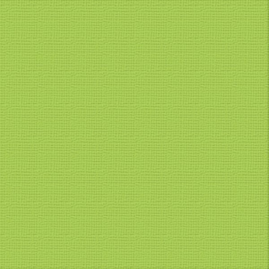 Picture of CARDSTOCK 12X12 CHRYSALIS