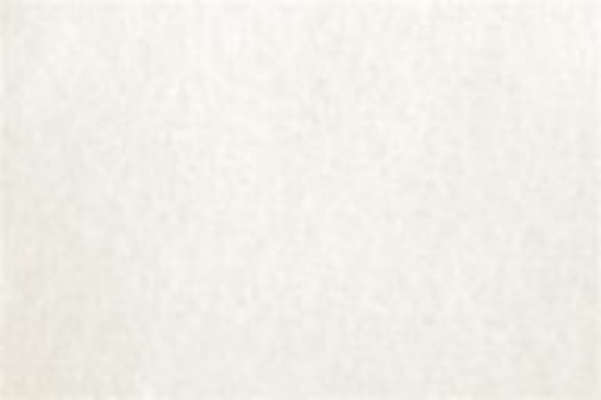 Picture of REGAL PARCHMENT WHITE 170GSM
